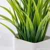 Succulent plant potted green plants, indoor landscape gardening decoration, creative bonsai, handcrafted succulent combination potted plants Specification image